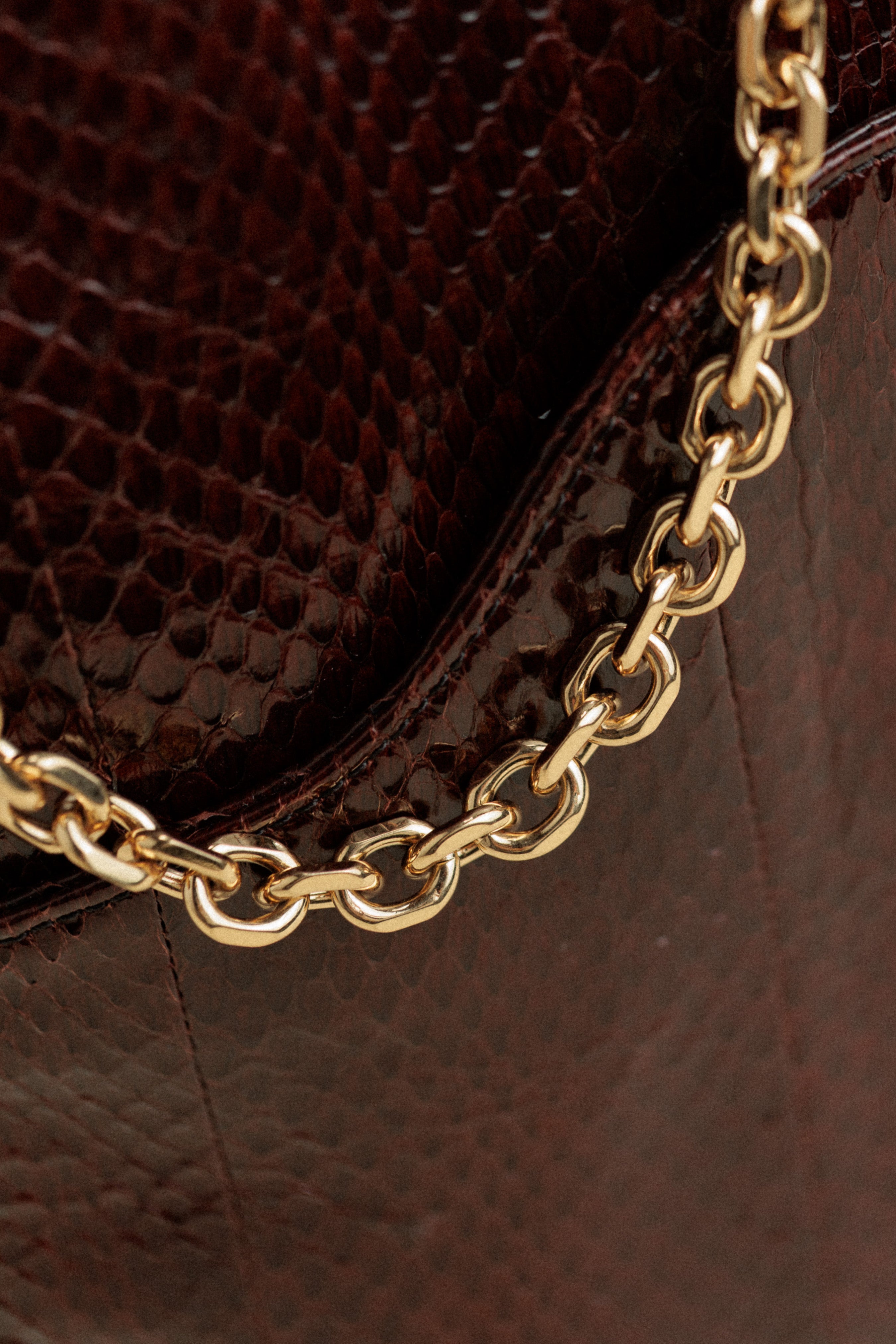 Celine Vintage Python Leather Handbag with Gold Tone Hardware
