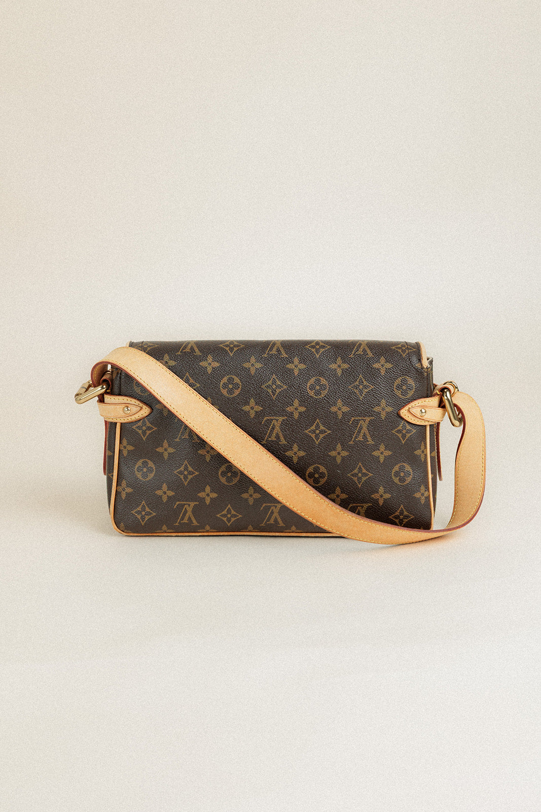 Louis Vuitton Hudson PM