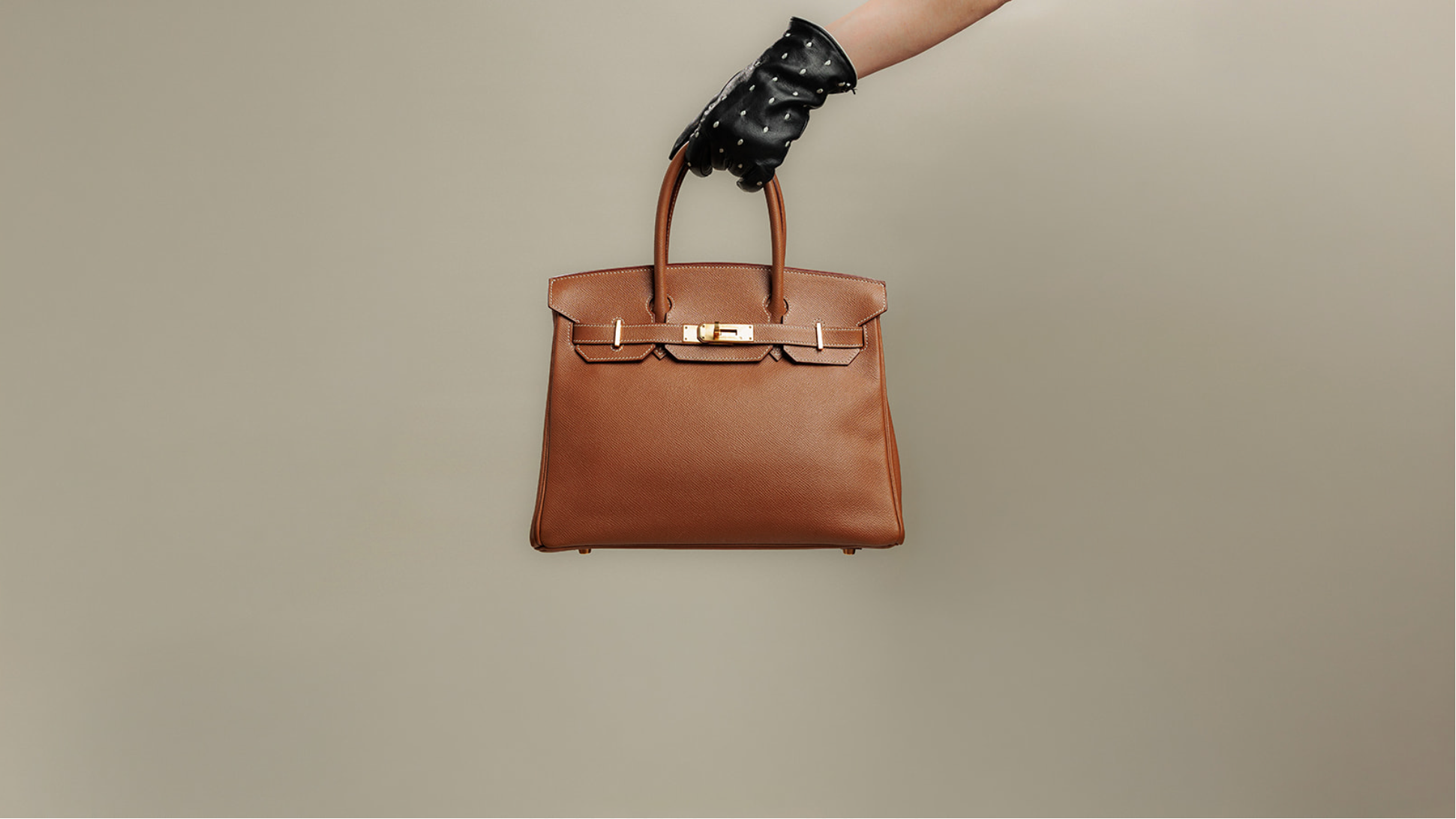BIRKIN_HERO